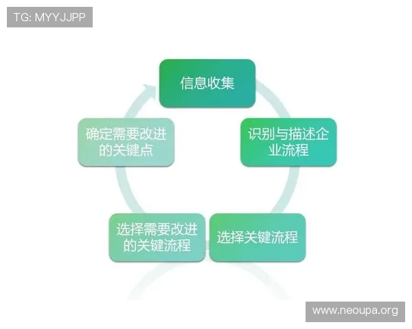 提升企业竞争力的欧博管理流程标准化与流程优化策略指南