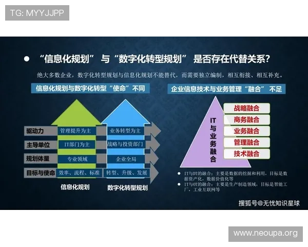 欧博集团在数字化转型中的实践经验与未来规划